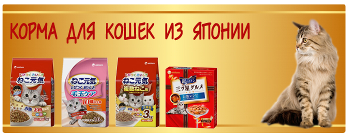 корм для кошек