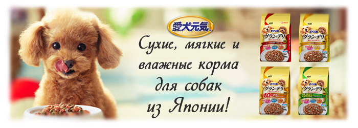 Корм для собак